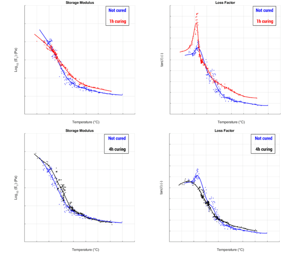 Thermal curing cycles measured on a racing tire using nondestructive viscoelastic testing